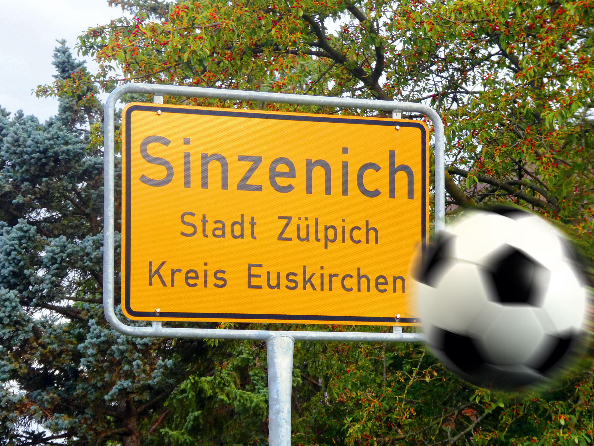 Fußballtorwart aus Sinzenich spielt in der 3. Bundesliga